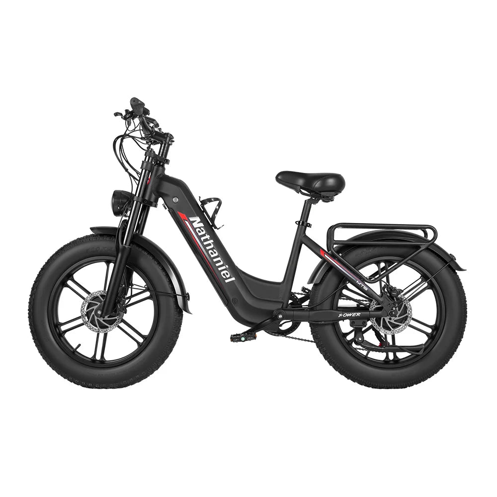 Nathaniel SYR08 Adult Electric Bike, 2000W Dual Motor, 20”*4.0 Fat Tire Integrated Wheel, 50km/h, 48V20Ah, City Commuter Bicycl